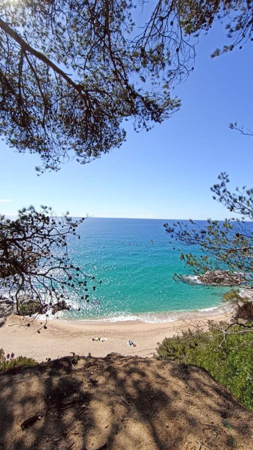 Daro Apartments Platja d'Aro  Exterior foto